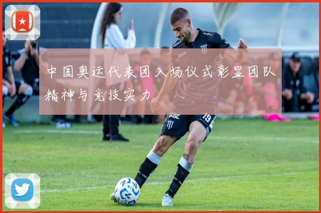 中国奥运代表团入场仪式彰显团队精神与竞技实力