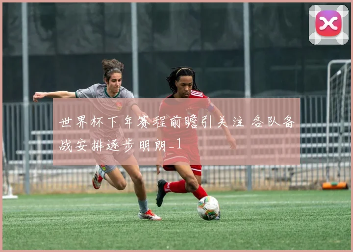 世界杯下年赛程前瞻引关注 各队备战安排逐步明朗_1