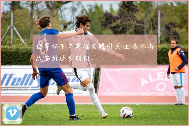 世界杯下年赛程前瞻引关注 各队备战安排逐步明朗_1