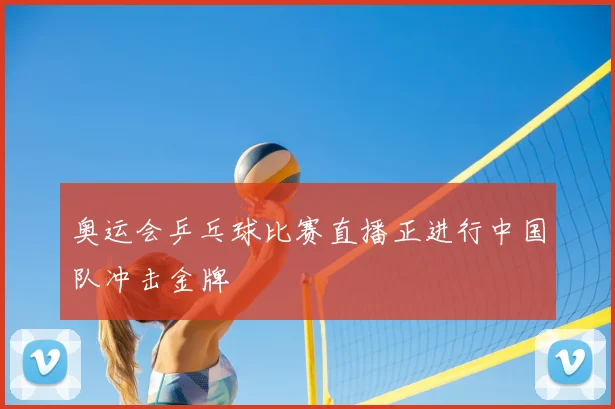 奥运会乒乓球比赛直播正进行中国队冲击金牌