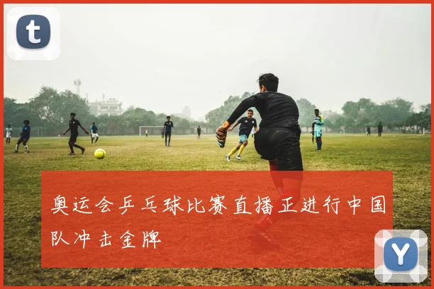 奥运会乒乓球比赛直播正进行中国队冲击金牌
