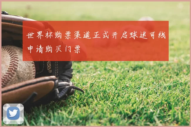 世界杯购票渠道正式开启球迷可线申请购买门票