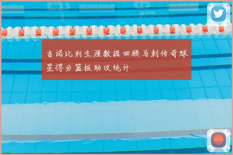 吉诺比利生涯数据回顾马刺传奇球星得分篮板助攻统计