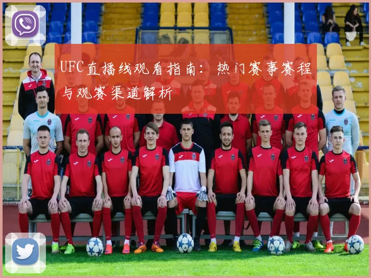 UFC直播线观看指南：热门赛事赛程与观赛渠道解析